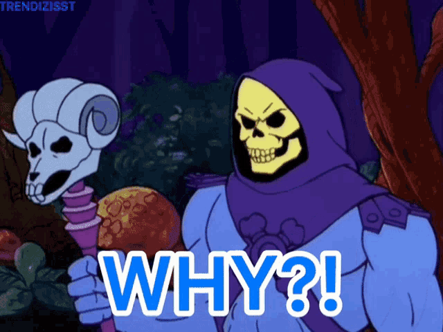 a cartoon of a skeletor saying why