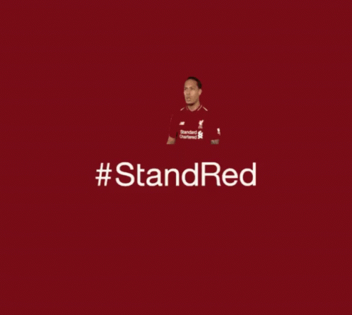 Vvd Liverpool GIF - Vvd Liverpool Stand Red GIFs