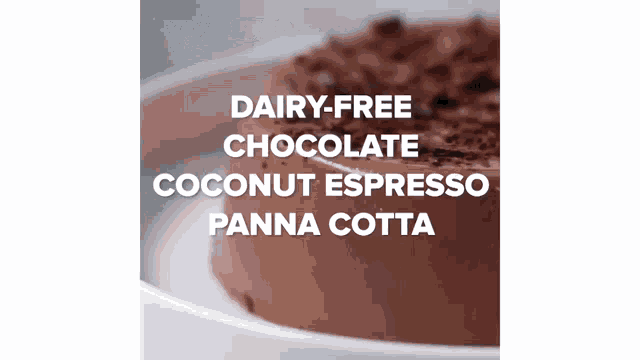 a dairy free chocolate coconut espresso panna cotta cake is on a white plate