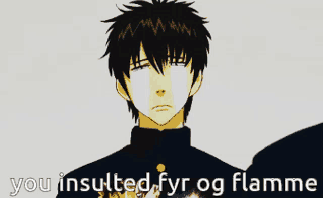 a picture of a man with the words " you insulted fyr og flamme " on it