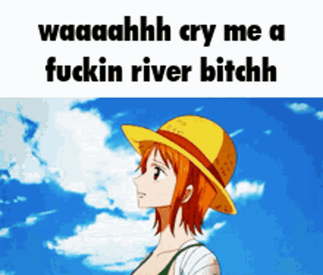 a picture of nami from one piece with the caption waaahhh cry me a fuckin river bitch