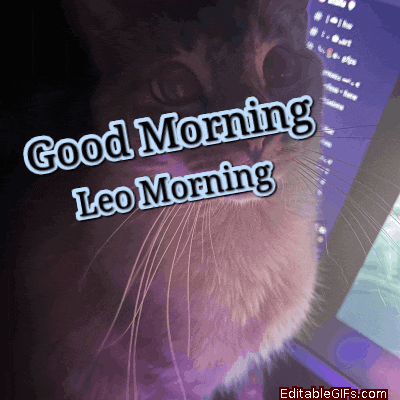 a cat looking at a computer screen with the words good morning leo morning
