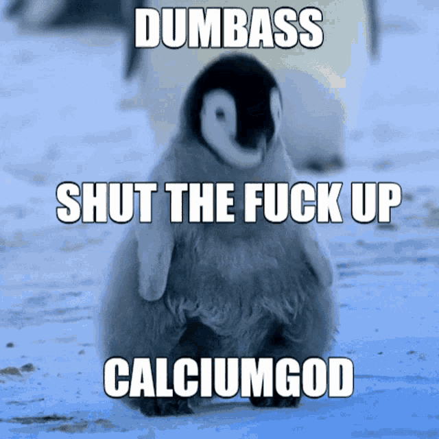 a baby penguin with the words dumbass shut the fuck up calciumgod written on it