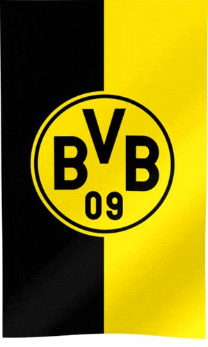 a yellow and black bvb 09 logo on a black background