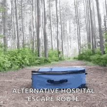 a blue suitcase is sitting on the ground in a forest .