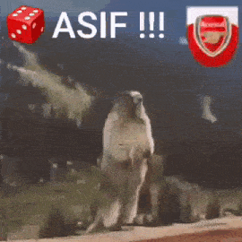 a squirrel standing on its hind legs next to a red dice and a bag of arsenal sauce