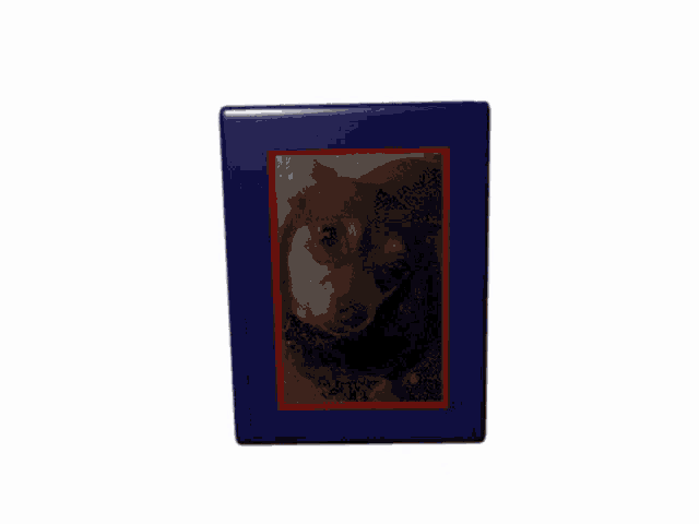 a blue square with the words little baby weenie