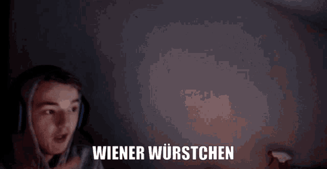 a man wearing headphones says wiener wurstchen in front of a computer screen