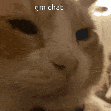 Gm Chat Good Morning GIF - Gm Chat Good Morning Gm GIFs