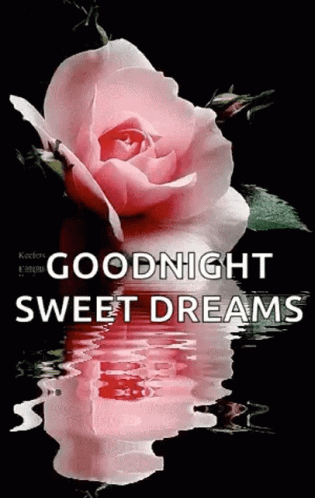 Good Night Sweet Dreams GIF - Good Night Sweet Dreams Reflecting GIFs