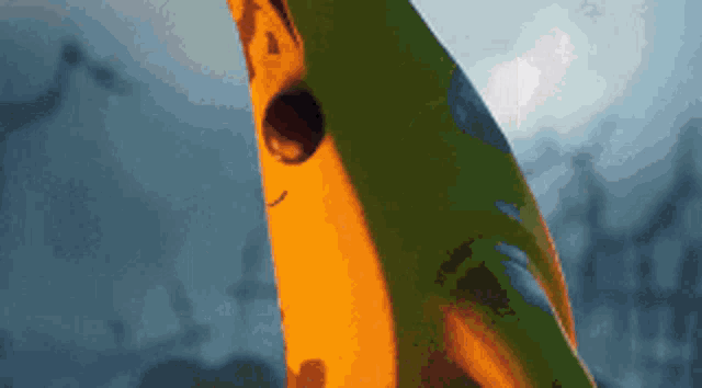 a close up of a yellow and green banana with a face