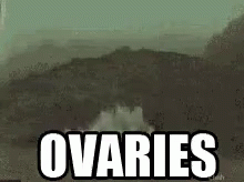 Explode Cute GIF - Explode Cute Ovaries GIFs