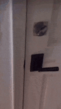 a blurred image of a door with a picture on the wall behind it