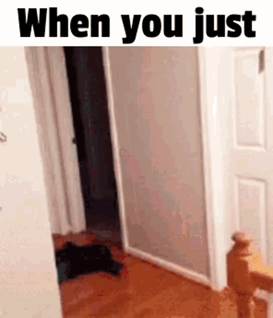 a cat is walking down a hallway with the words `` when you just '' written on it .