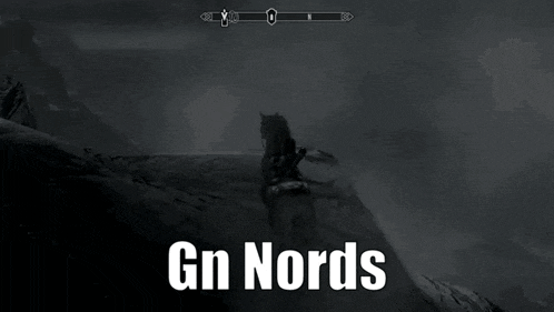 a black and white photo of a person falling with the words gn nords below them