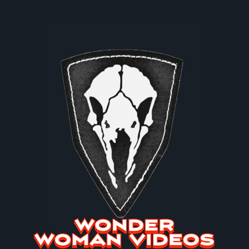 Agent Wonder Woman GIF - Agent Wonder Woman GIFs