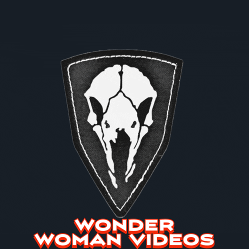 a logo for wonder woman videos with a skull in the center