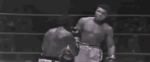 Muhammad Ali Boxing GIF - Muhammad Ali Boxing Fight GIFs