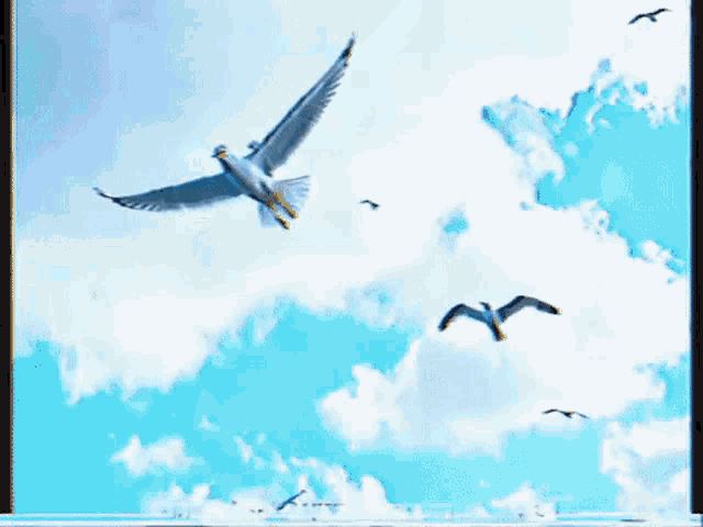 a seagull is flying through a clear blue sky