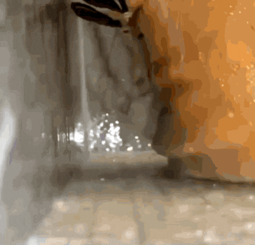 a blurred image of a person standing in a hallway