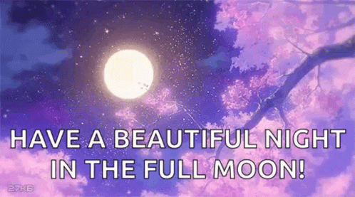Moon Have A Beautiful Night GIF - Moon Have A Beautiful Night Full Moon GIFs
