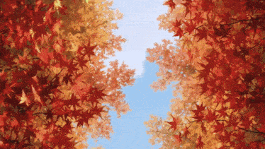 looking up at a tree with red leaves