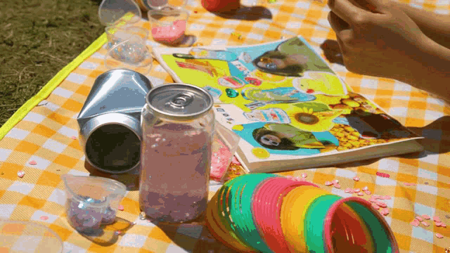 a picnic blanket with a book and a can of soda