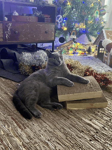 a cat is laying on a cardboard scratching board in front of a christmas tree