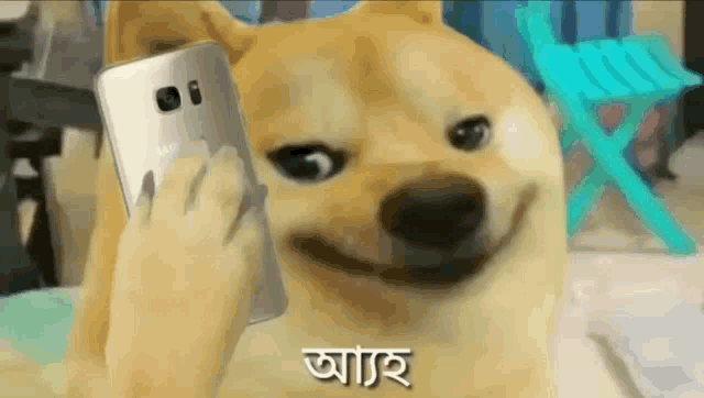 a dog is smiling while holding a cell phone in its paw .