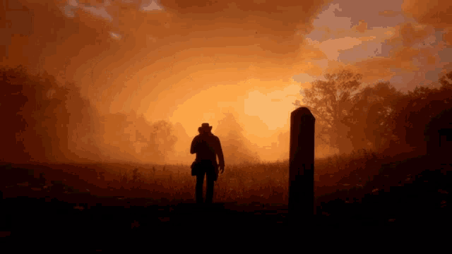 a man in a cowboy hat is standing in a field