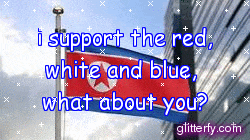 i support the red white and blue what about you ?