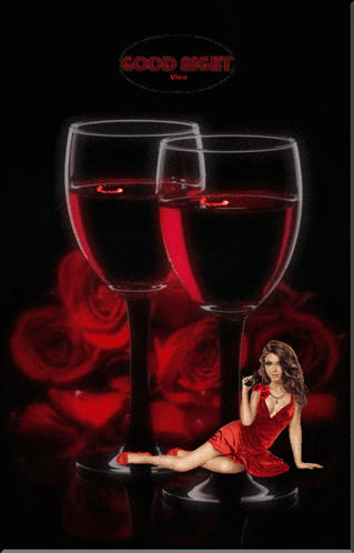 a woman in a red dress sits next to two glasses of red wine and the words good night vice