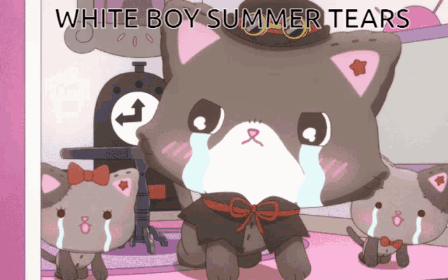 a cartoon cat is crying with the words " white boy summer tears " above it