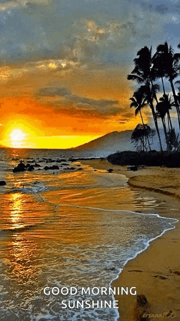 a sunset on a beach with the words good morning sunshine on the bottom
