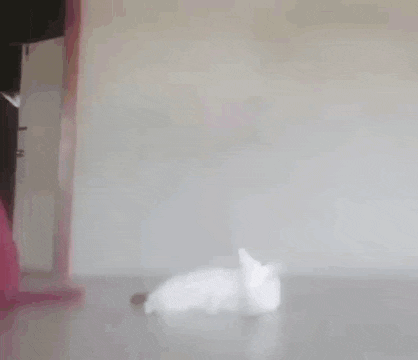 a pink blanket is on a bed in a room with a white wall .