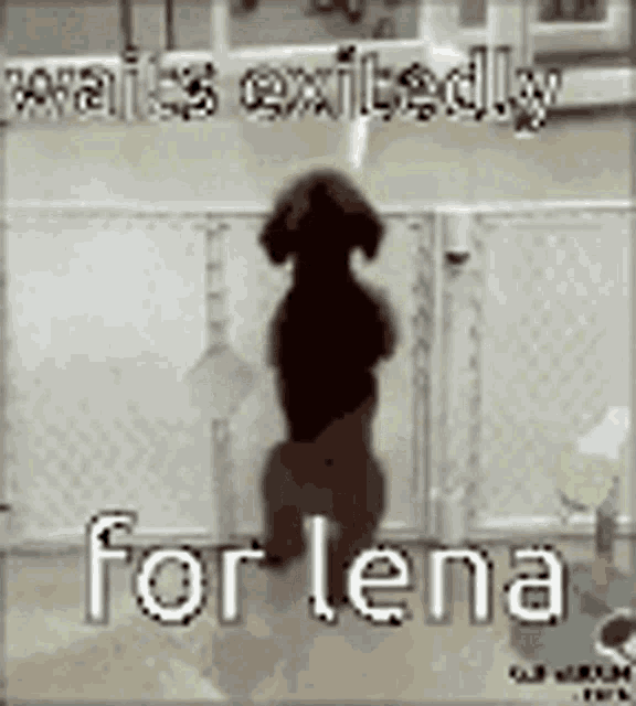 Lena Excited GIF - Lena Excited GIFs