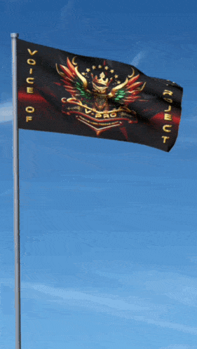 a flag that says " voice of respect " is waving in the wind