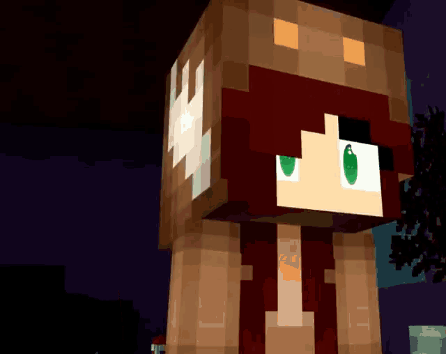 a minecraft character with a green eye