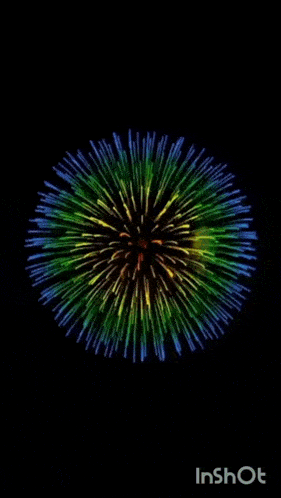 a colorful fireworks display with the words inshot in the lower right corner