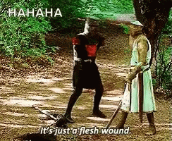 Flesh Wound GIF - Flesh Wound Sword GIFs