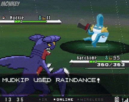Pokemon Mudkip GIF - Pokemon Mudkip Fight GIFs