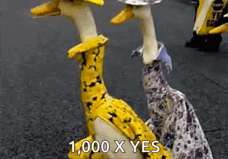 a couple of ducks dressed up in yellow clothes are standing next to each other on a street .