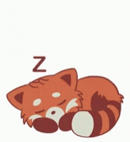Red Panda Sleeping GIF - Red Panda Sleeping GIFs