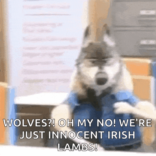 a dog dressed as a wolf says wolves ? oh my no ! we 're just innocent irish lambs .