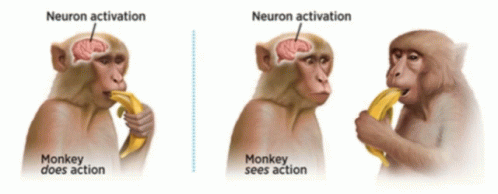 Neuron Monke GIF - Neuron Monke GIFs