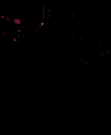a man playing a guitar in a dark room with a sign that says cueva del bosque in the background