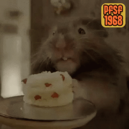 Pfsf1968 Cute GIF - Pfsf1968 Cute Hamster GIFs