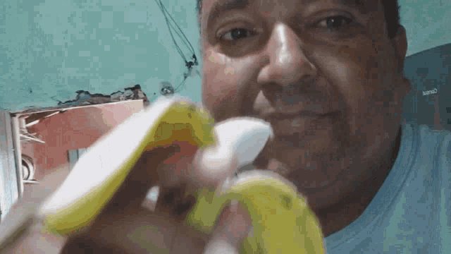 a man in a blue shirt is eating a banana and looking at the camera