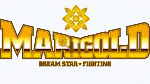 a logo for marigold dream star fighting has a flower on it