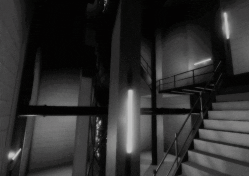 a black and white photo of a staircase in a dark room